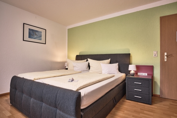 Hotel Am Hochrhein (Bad Säckingen)